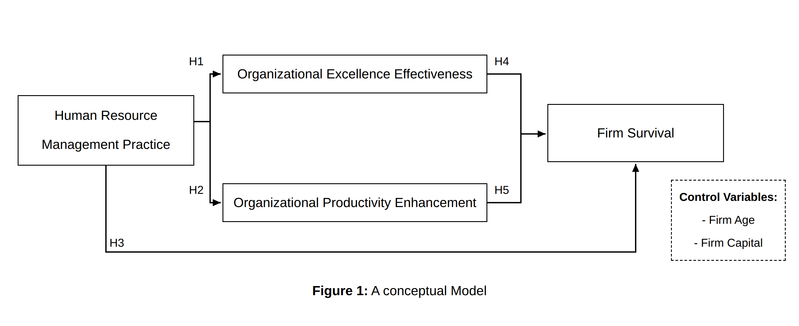 conceptual Model